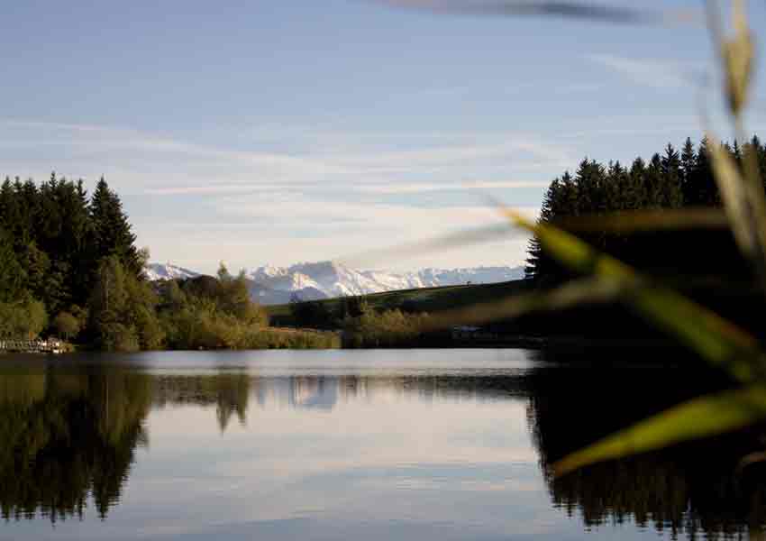 Eschacher Weiher mit Panorama